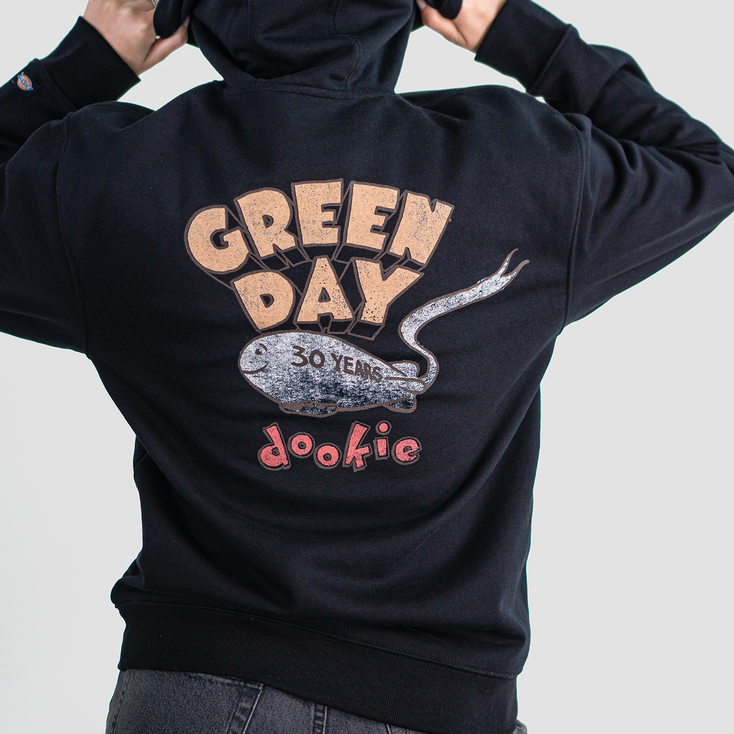 Dickies x Green Day Bad Year Blimp Water Repellent Hoodie