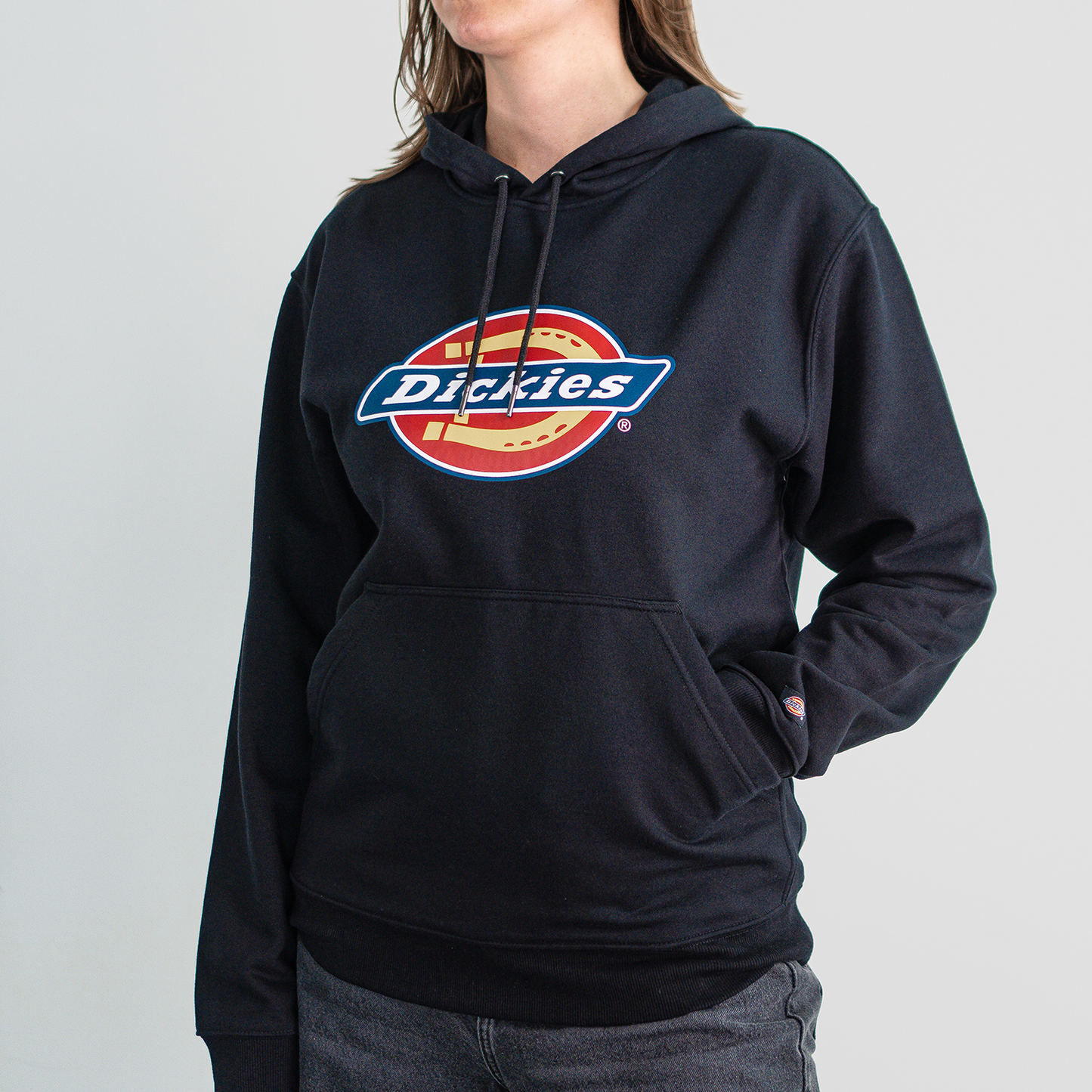 Dickies x Green Day Bad Year Blimp Water Repellent Hoodie